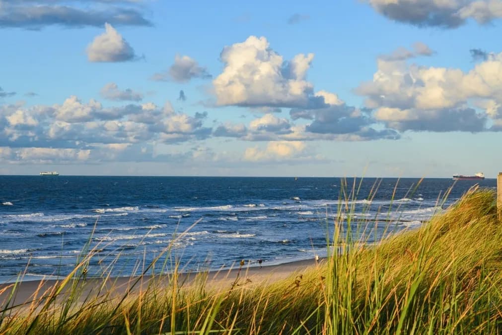 Kiedy jest odpływ na Bałtyku? Sprawdź, by nie przegapić okazji